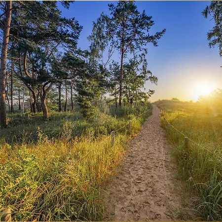 Apartment Am Strauchelfeld 5 Whg 7 Koserow